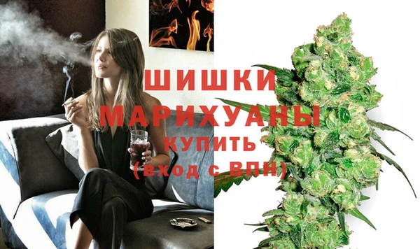 гидропоника Гусиноозёрск
