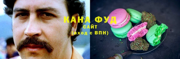 гидропоника Гусиноозёрск