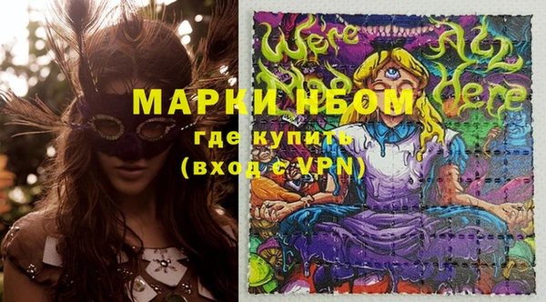 гидропоника Гусиноозёрск