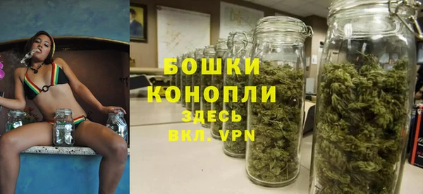 прущая мука Гусев