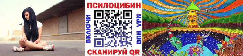 продажа наркотиков  Черкесск  Галлюциногенные грибы Magic Shrooms 